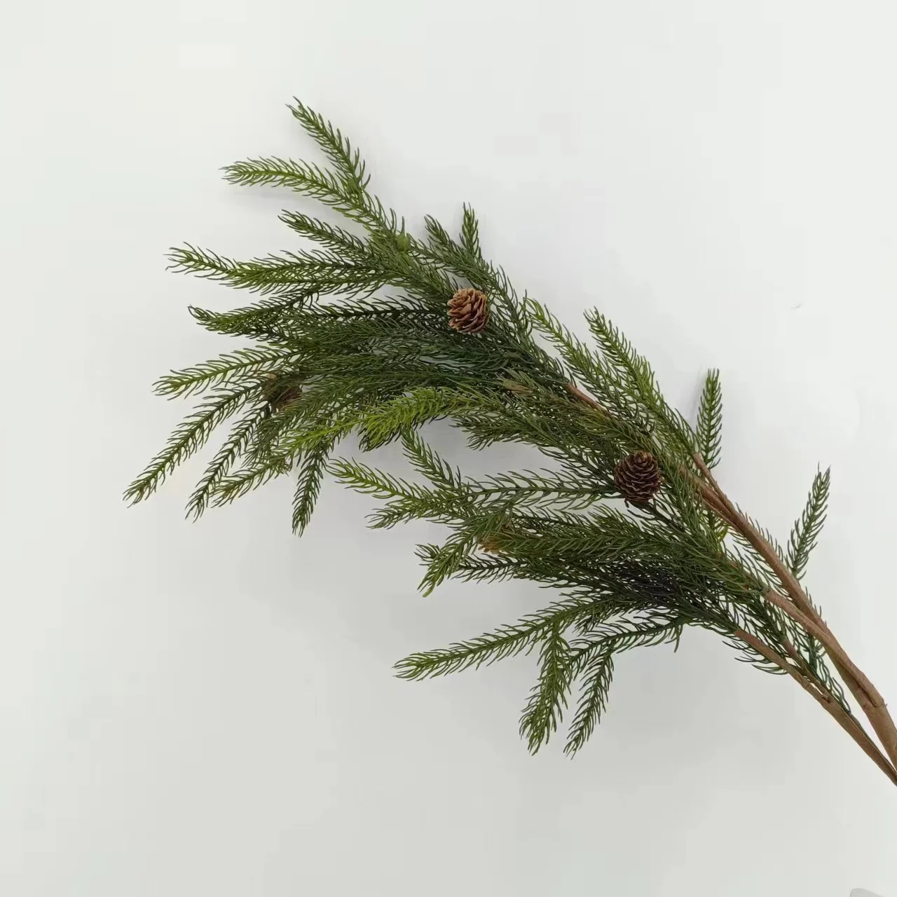 Factories wholesale Norfolk pine  stems