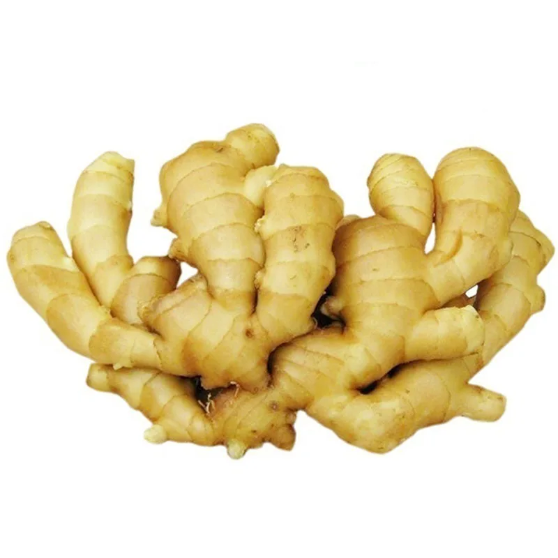 New Arrival Fresh Ginger Air Dried Ginger Root Direct from China Wholesale Exporters New Crop Collection