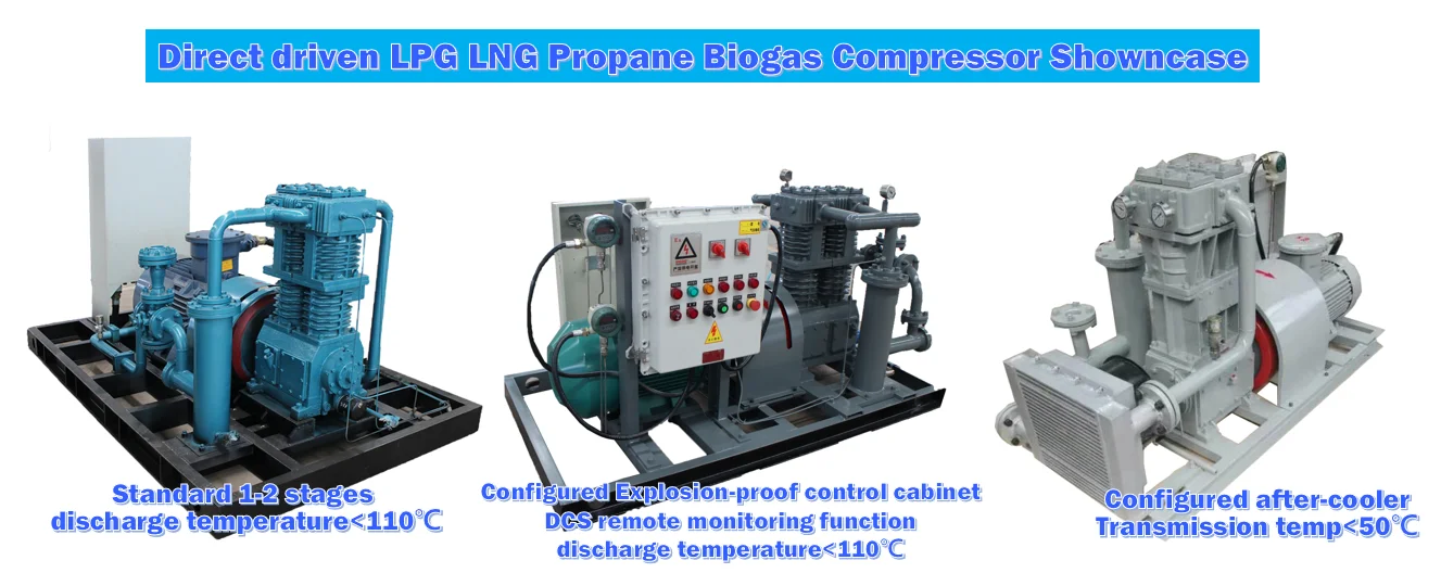 LPG LNG Compressor 4