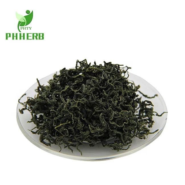 EU standard organic high purity extract powder gynostemma pentaphylla gypenosides 98%