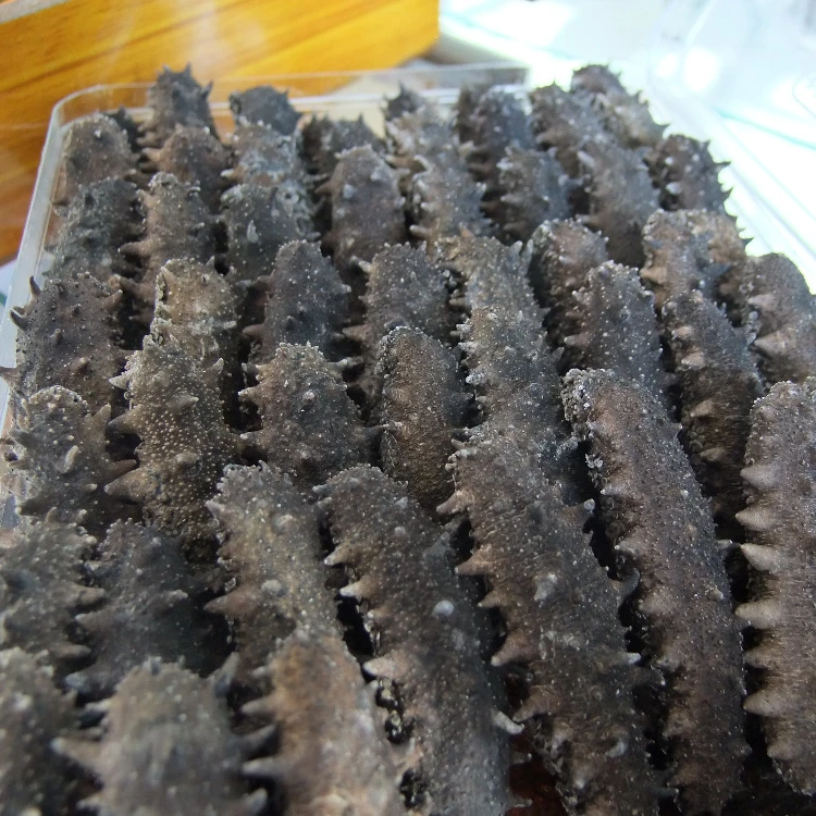 HIGH QUALITY DRIED SEA CUCUMBER -WHITE TEAT FISH- BLACK PRICKLY FISH