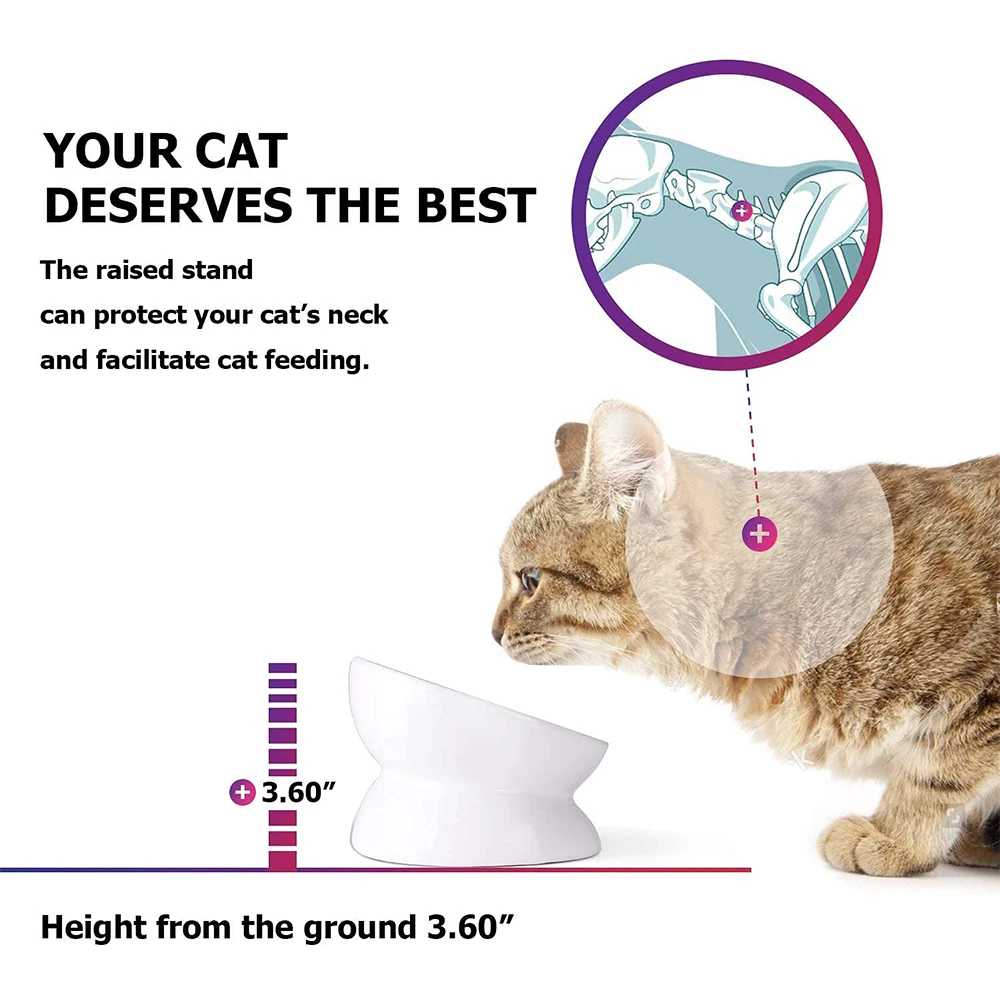IKITCHEN 2023 Hot Sale Raised Cat Water Bowl Protect Spine Elevated Dog Food Bowls Ceramic Cat Dog Bowls Customization