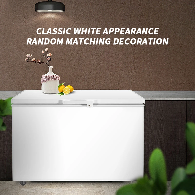 Mini Double-Temperature Household Food Chest Freezer