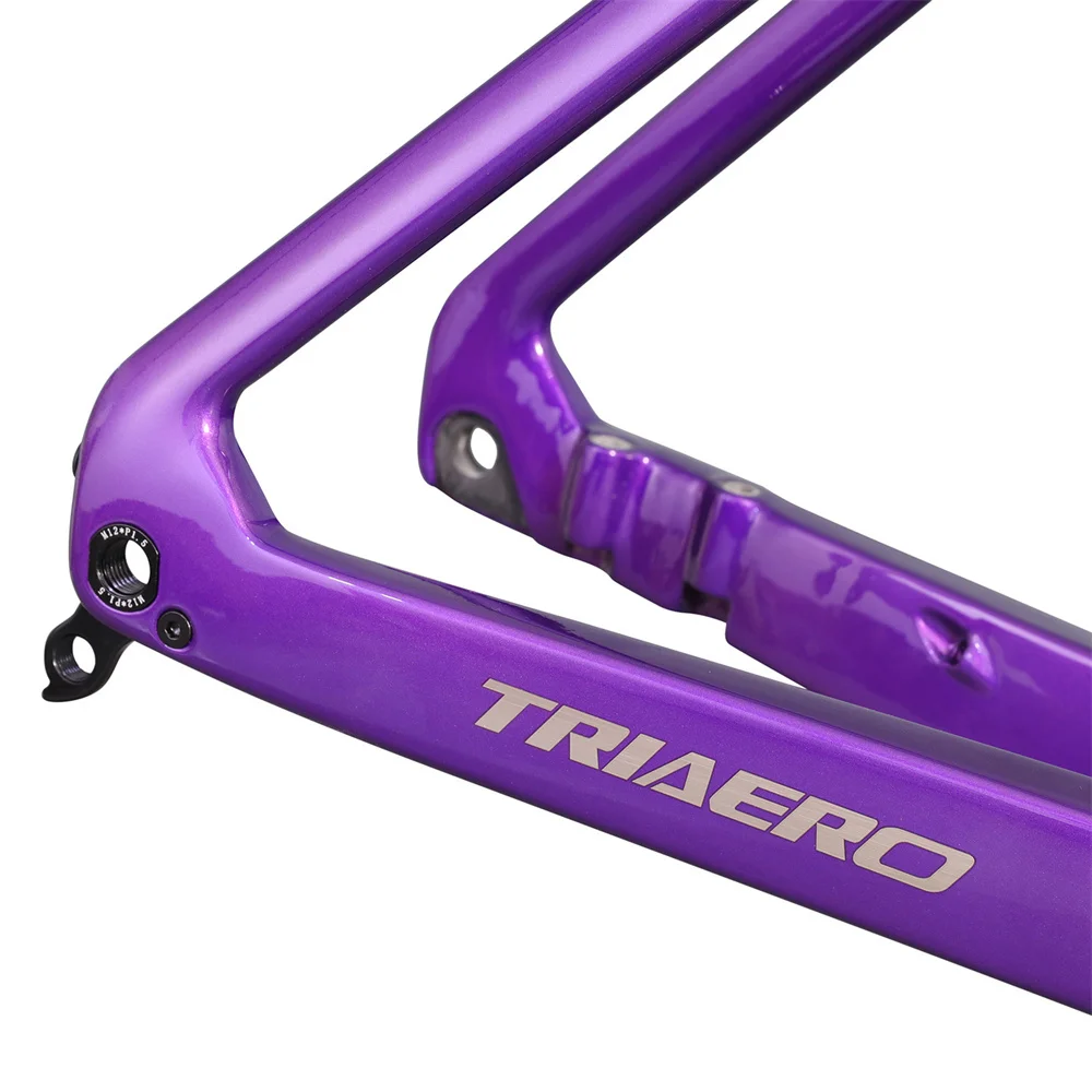 China TRIAERO Special Paint Hand-drawn Painting Decal Logo Carbon UCI Road Frame Disc Brake