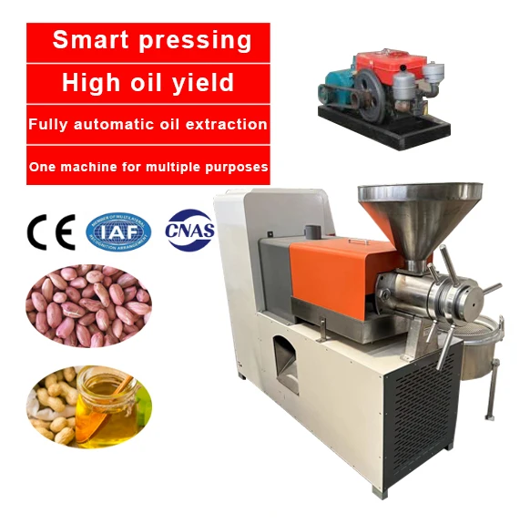 150-260kg/h Professional Palm Nut Almond Soya Bean Oil Press Machine Plant Industrial Oil Press Machine On Sale
