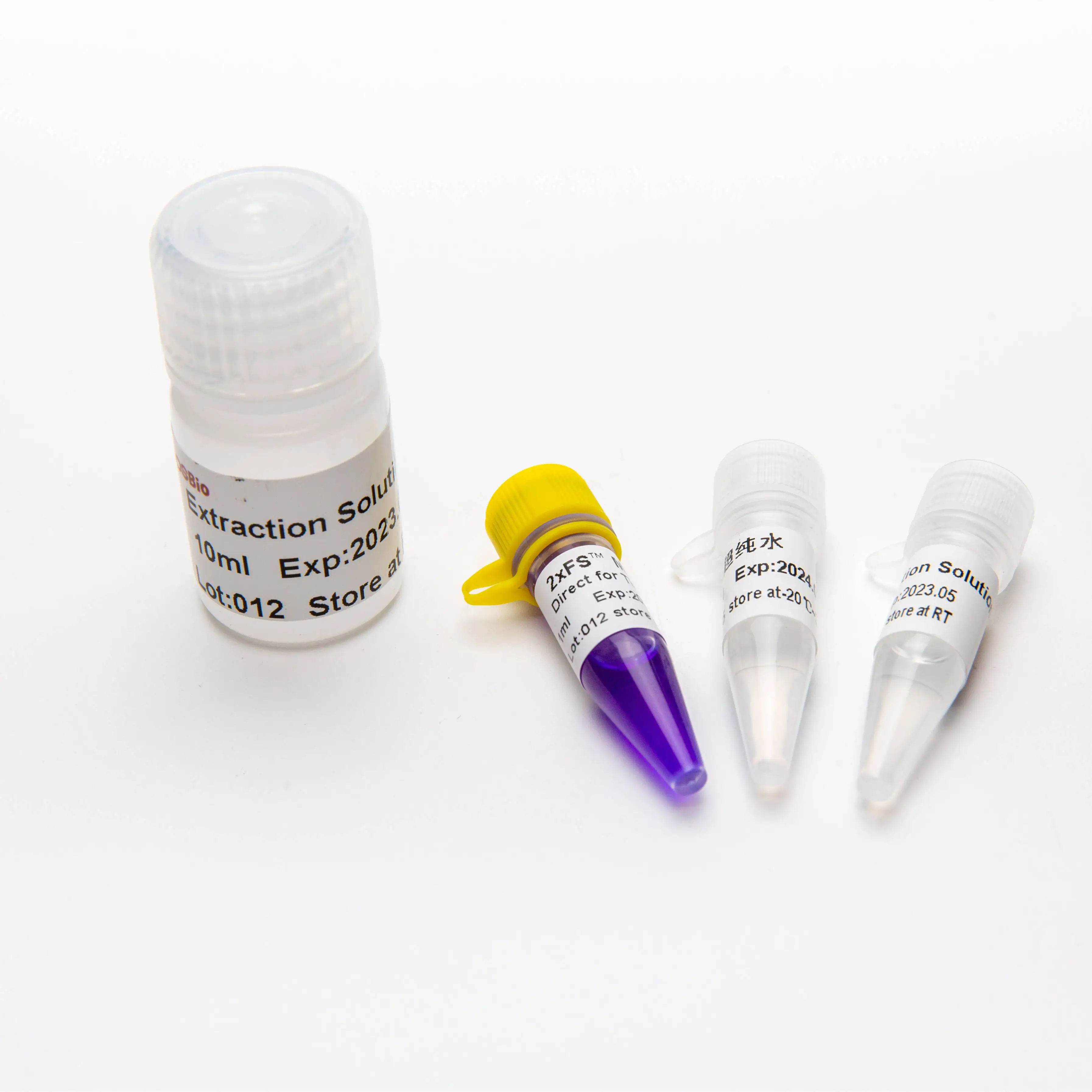 FS PCR Taq DNA Polymerase P1071-P1072-P1073-P1074