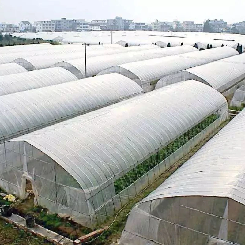Greenhouse with Temperature Control Function for Stable Climate, Heating Elements, Cooling Fans, Thermostat
