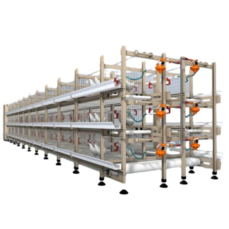 Modern Automatic Broiler Chicken Farming Equipment H Type Poultry Broiler Cage for Nigeria