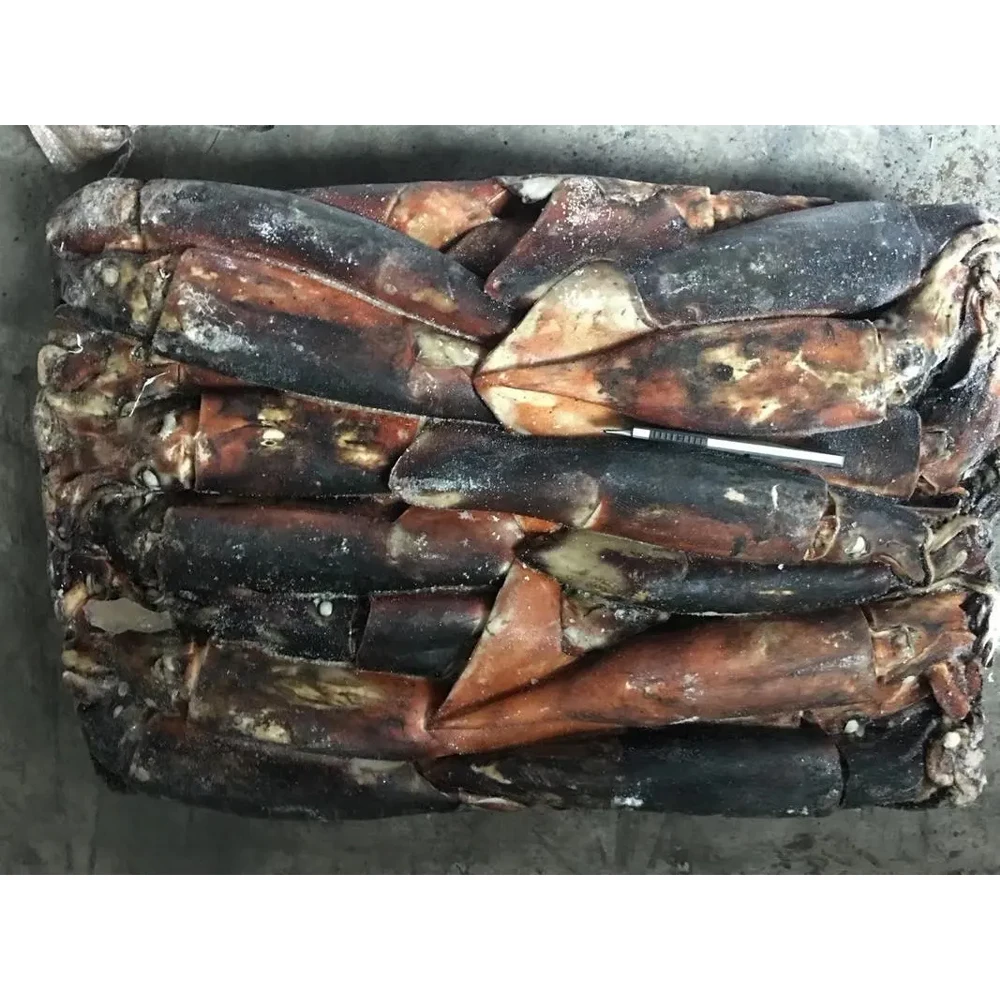 High quality gigas squid frozen white squid 22cm 12cm illex squid price