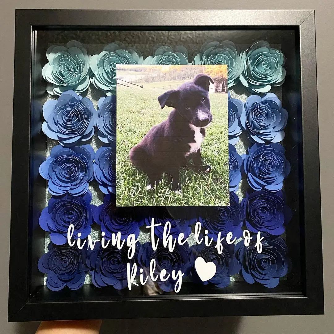 Shadow Box 4x6 фоторамка с HD оргстекло Глубокий деревянный ящик памяти витрина для цветов