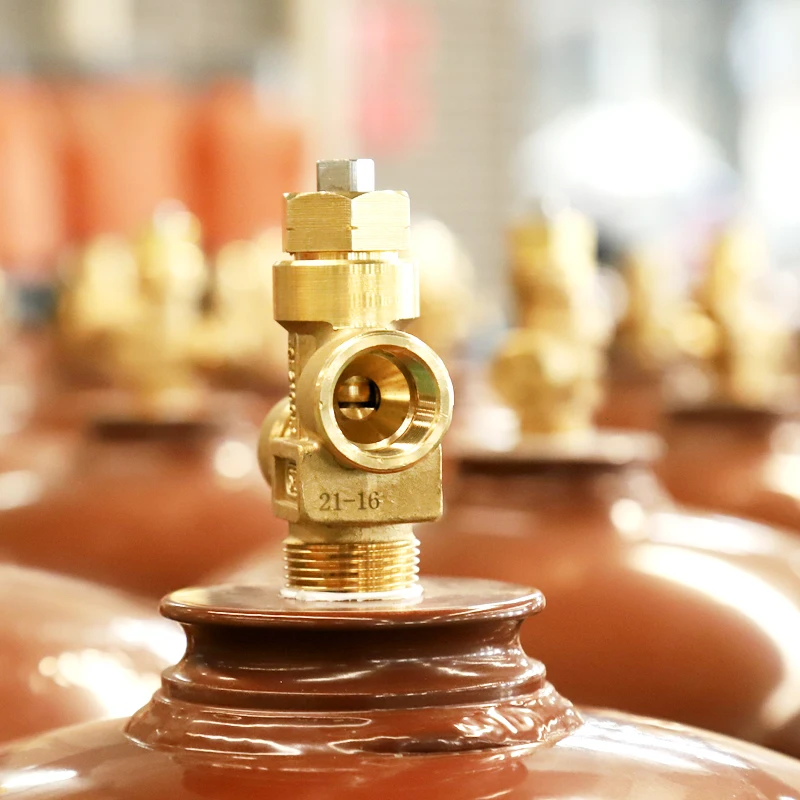 Safety-Assured 10Kg Portable Composite Lpg Gas Cylinder for Cooking With Certification