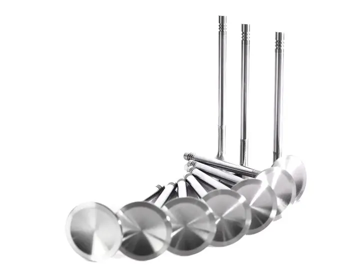 OEM Standard Size Wholesale Price Customize 3RZ Intake Exhaust for Toyota Engine Valve