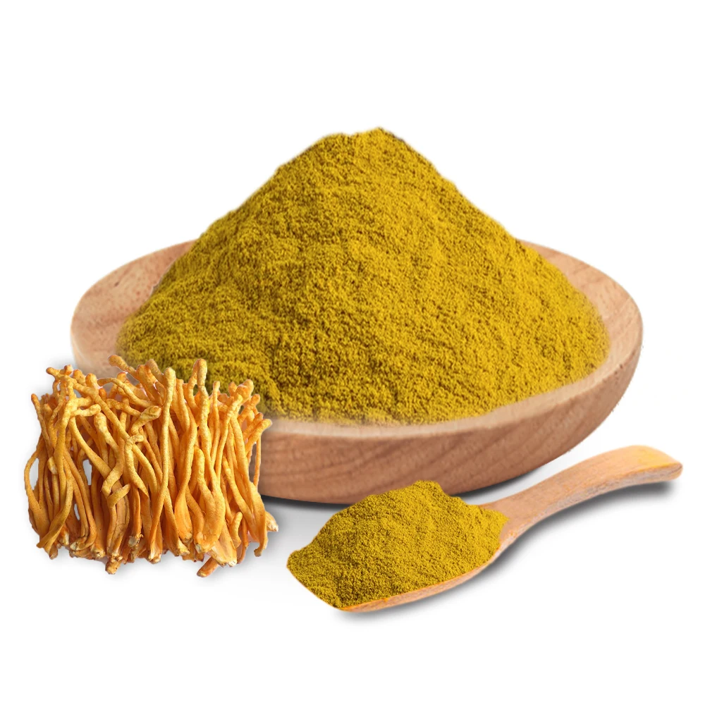 10 Years Manufacturer Supply Cordyceps Extract With 10%~40% Polysaccharides In Bulk