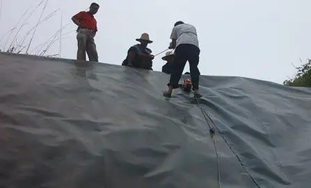 
HDPE geomembrane plastic pond liner for prawn farm 