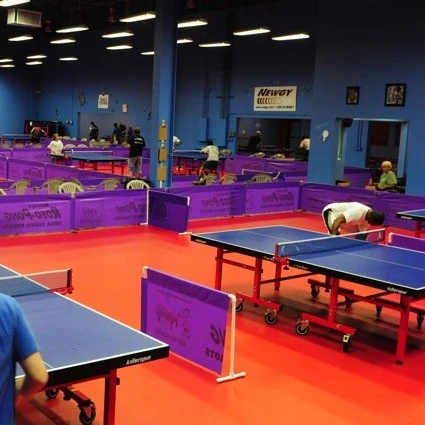 Table Tennis Training