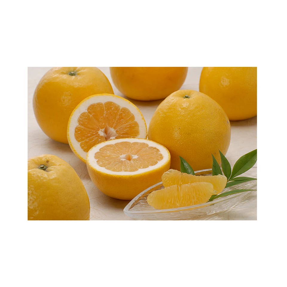 Japanese wholesale bulk fresh citrus whitening with good quality