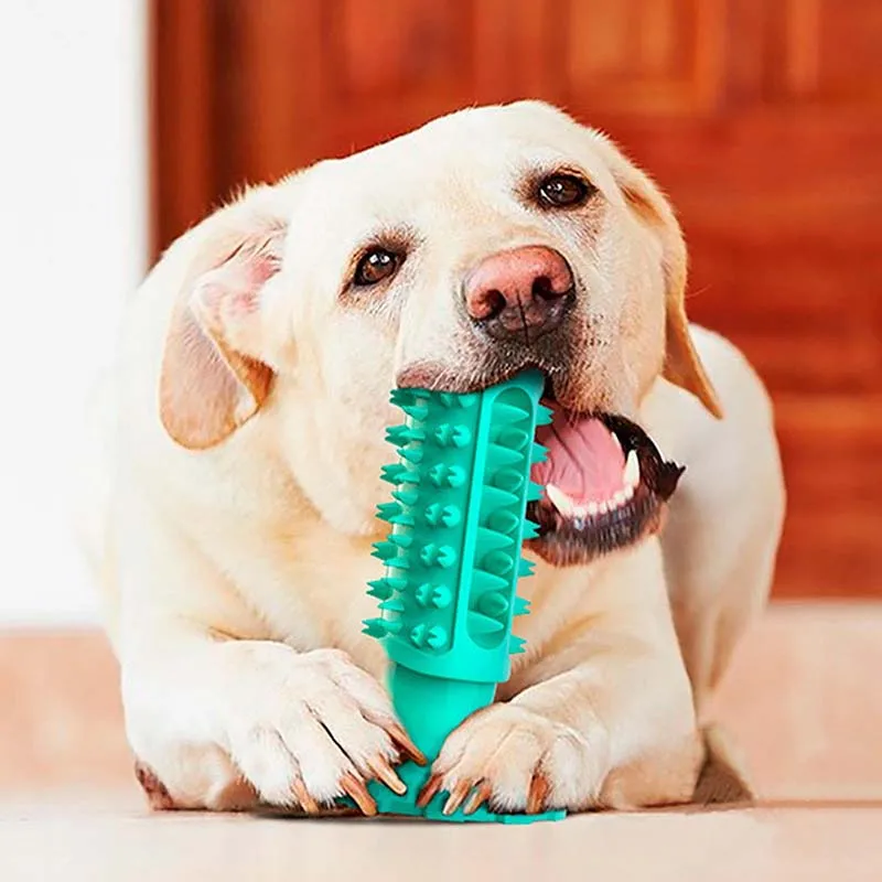 Outdoor Sports Easy to Chuck or Throw It Soft to Catch, Lightweight Disc Pet Training toys for Small Large Dogs/