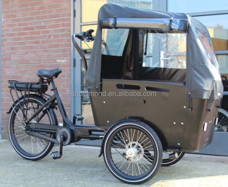 250W EPAC Elektrische Bakfiet/kids transport E Bicycle Tricycle/Cargo Bakfietsen/500W Dog Delivery Trike pedelec kushion seat