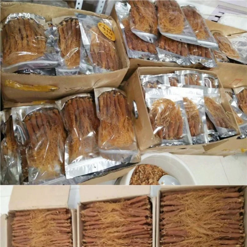 1011 Hong Shen Best Price Herbal Tea Red Korean Panax  Ginseng Root