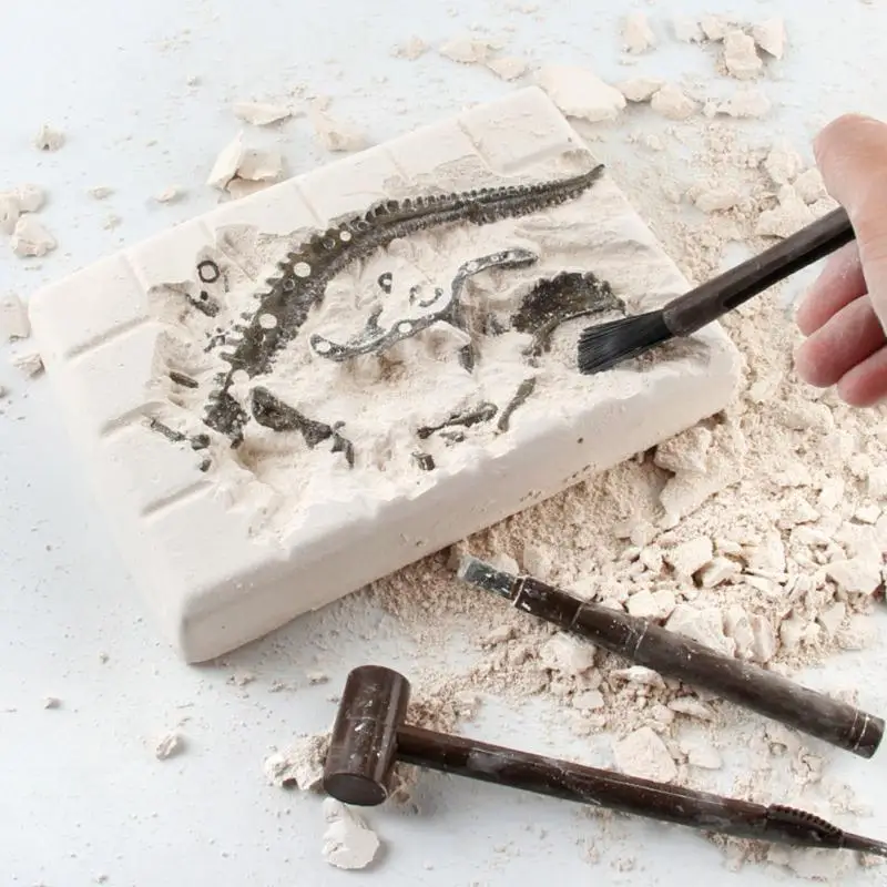 Wholesale Dinosaur Fossil And Excavation For Kids Science Kits For Boys Girls Age 6 And Up