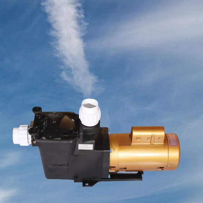 Customized  Dual Voltage Strong Suction In/Above Ground Swimming Pool Filter Pump