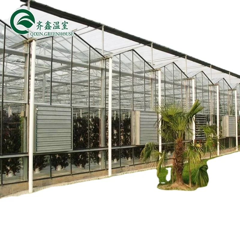 Used Venlo Garden Glass Greenhouse Galvanized Frames For Sale