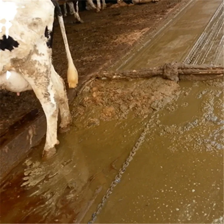 Siemens Control System Manure Scraper For Dairy Cow Farm , Manure Cleaning Machine
