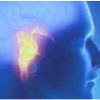 Анализатор ионограммы DSC, анализатор крови, анализатор сухой гематологии иммуноанализа