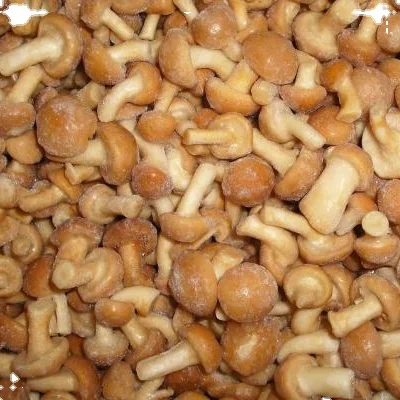 Замороженный гриб nameko хорошее качество лучшие цены