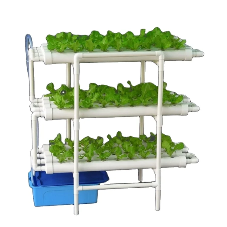 Home Indoor Hydroponic Growing of Vegetables