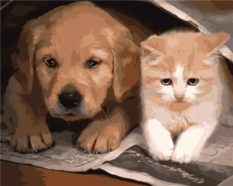
AV-0521 Dog OR CAT Oil Painting By Numbers For Adults Paints Canvas Painting Kits 50cmx40cm Gift Home Decor 