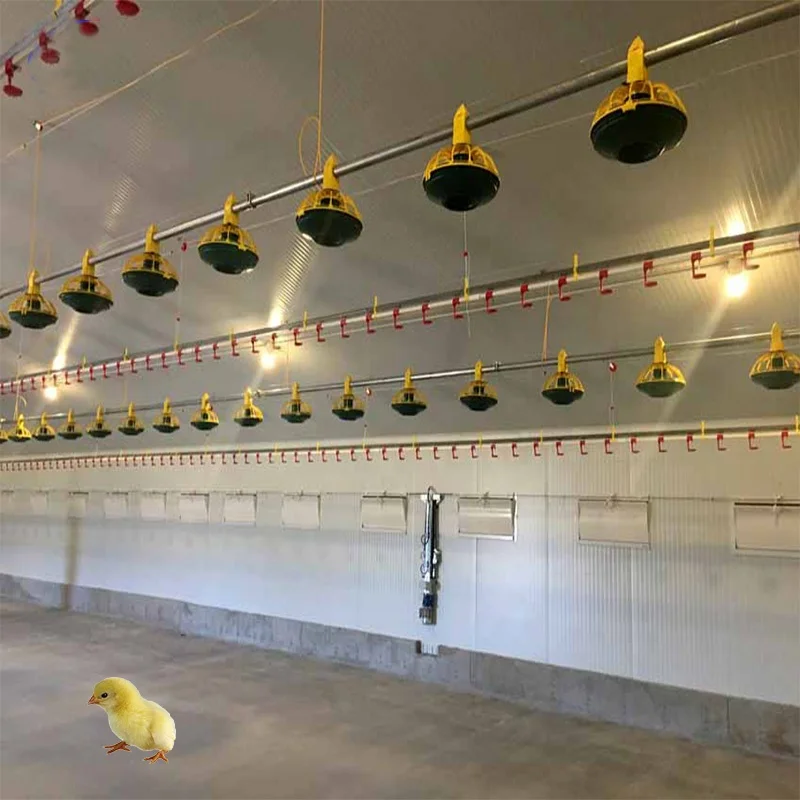 Low cost light steel structure poultry farm electric control chicken shed for sale