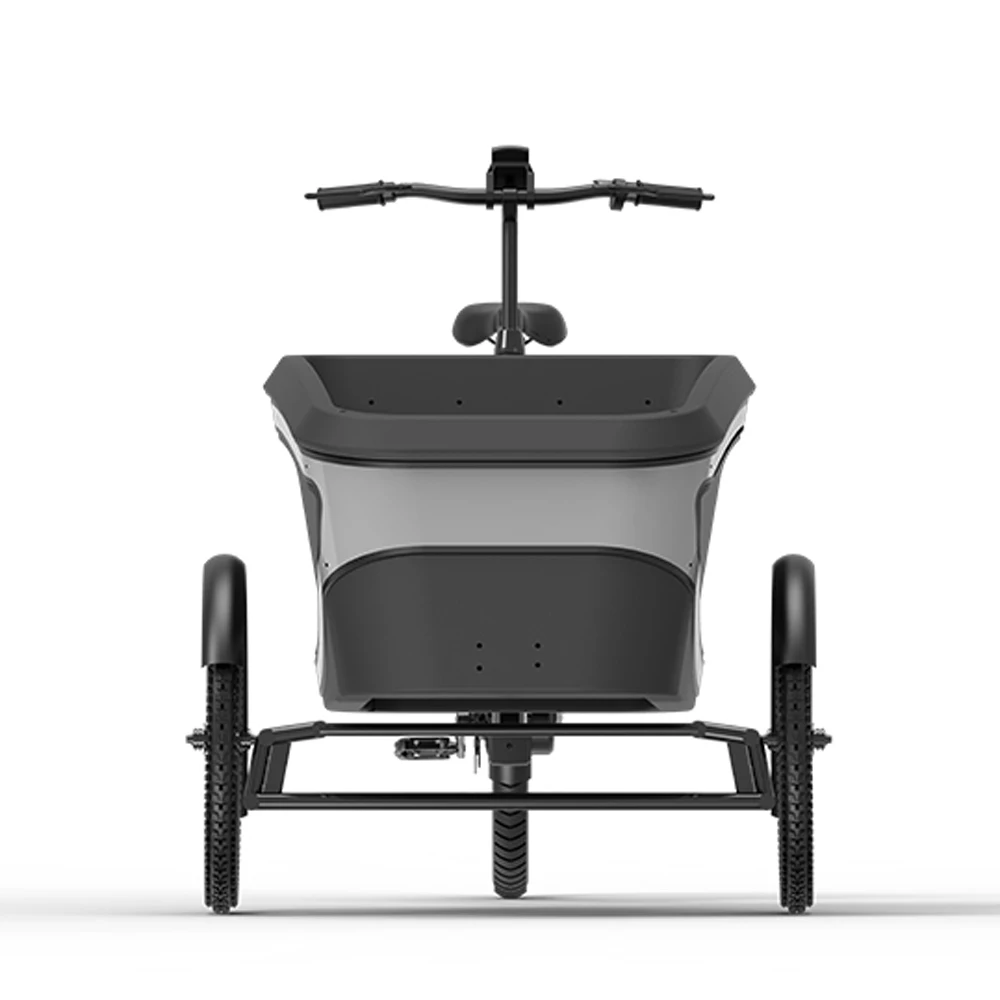 Electric bike 3 wheels cargo for bike  EU standard ebike e-cargo EPP box electric cargo bike frame for family carry kids