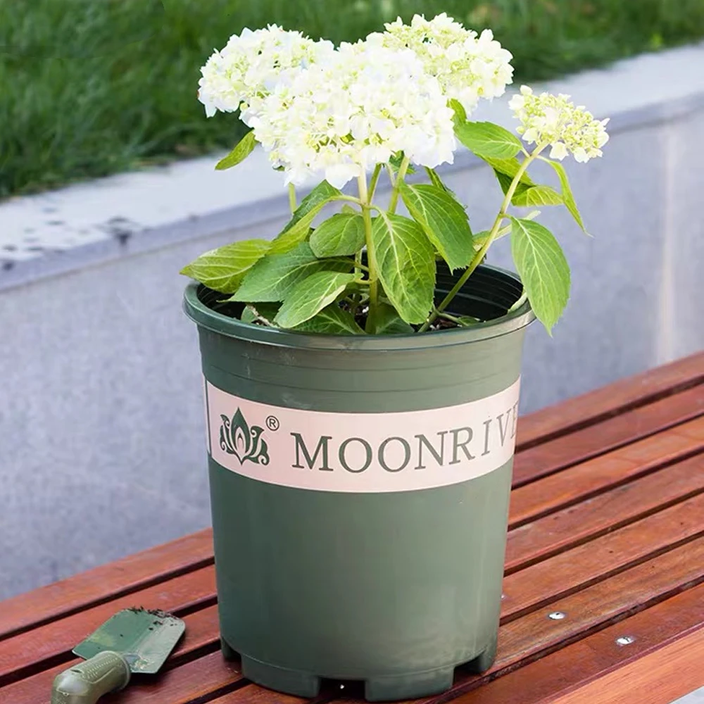 Hot sale 1 /1.5 / 2 / 3 / 5 gallon plastic planter nursery pots for plants flowerpot