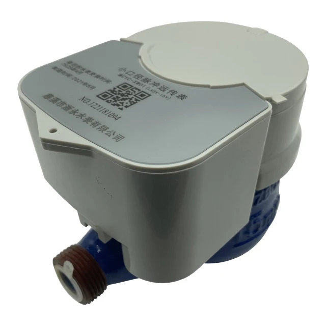 Lora/Lorawan/Pulse/Gsm/Nb-Iot Remote Reading Bulk Water Meter Smart Water Meter