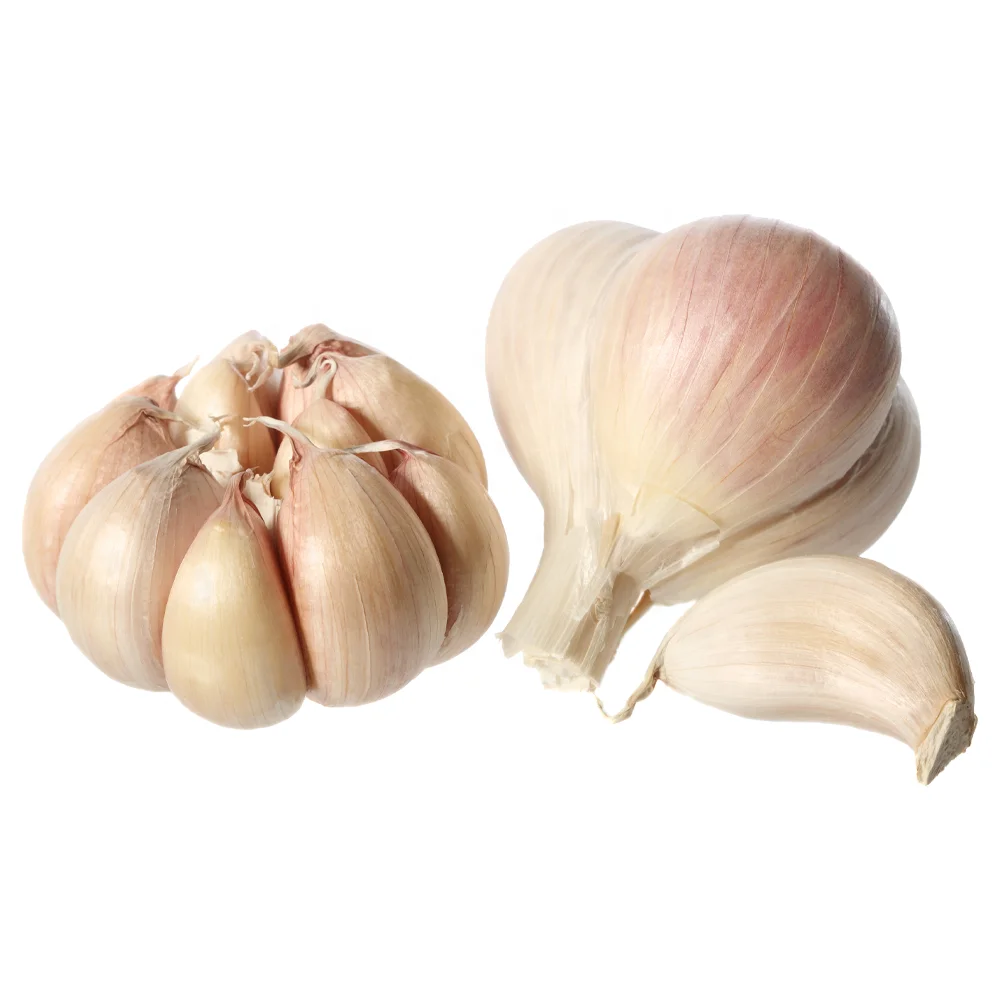2023 Fresh Chinese peeled Garlic Cloves with long life 1kg vacuum bag for Australia market