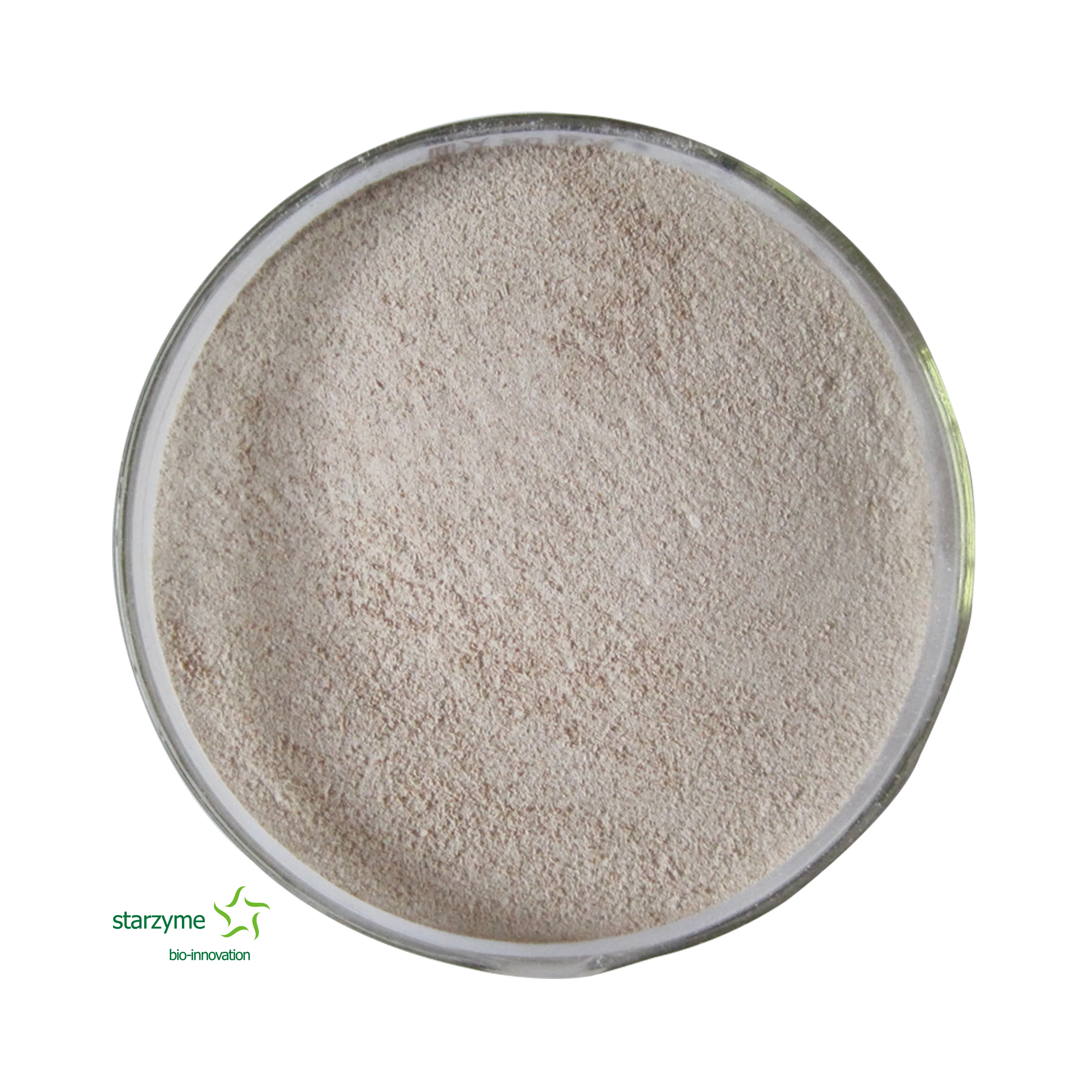 High Colony Content Bacillus Subtilis Feed Grade Powder Probiotics