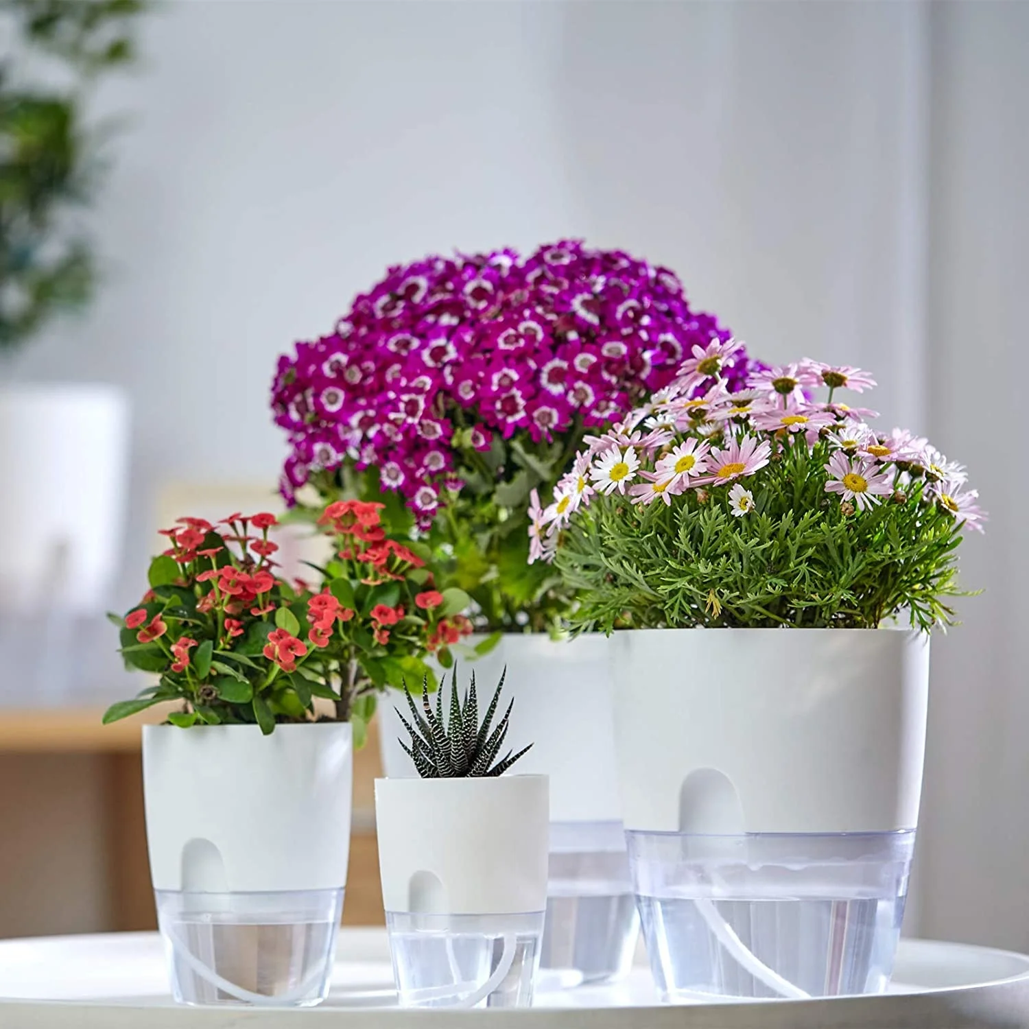 self watering plant pot, garden Automatic Water Self-Watering Planter small the lazy self watering plastic flower pot