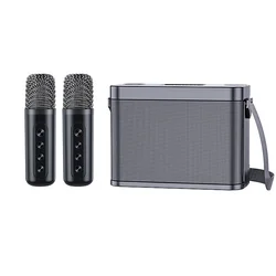 2 in 1 Portable Karaoke Wireless Bluetooth Speaker Dual Microphone Speaker High Power Subwoofer Family KTV party singing