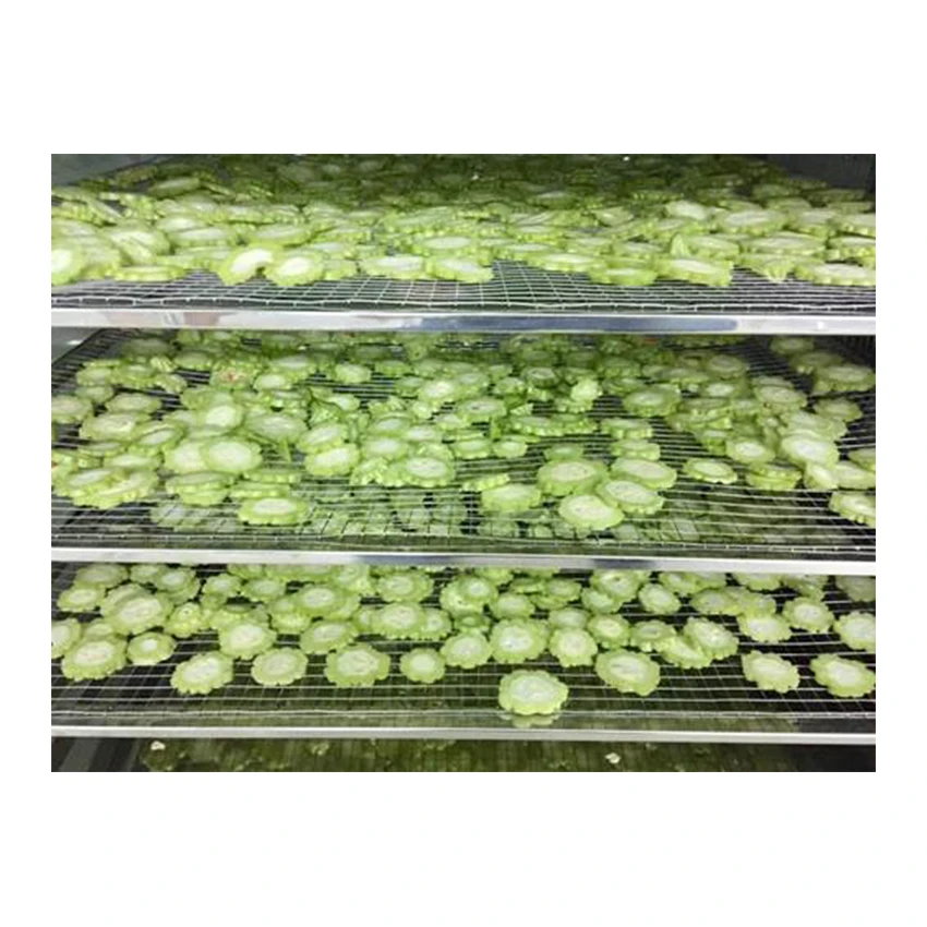 Вьетнамский высококачественный Овощной продукт сушеные овощи высокое качество свежий горькая дыня зеленый стиль для хранения сельское хозяйство
