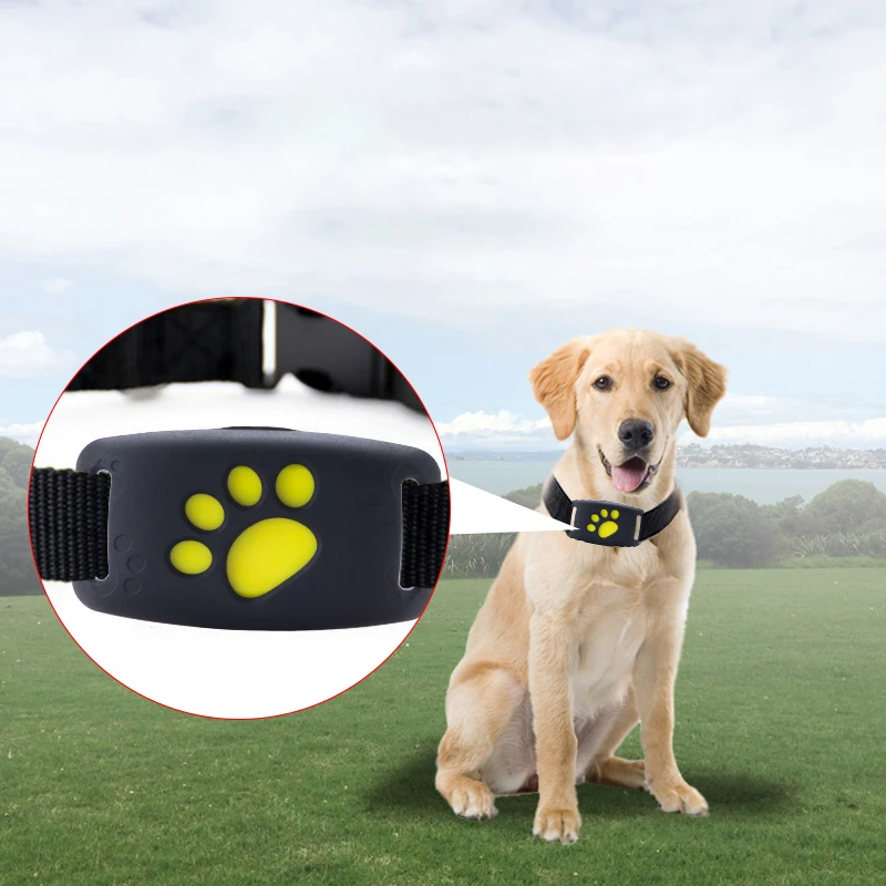 Connection Pet Fitness Tracker 4G Dog Gps Tracker Collar For Pets Dogs Cats