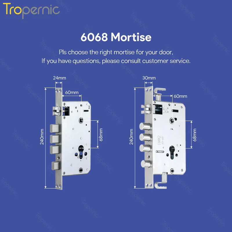 Tropernic New Technology Outdoor fingerprint electric automatic Gate Lock TTlock Wifi  ttlock app smart lock face recognize