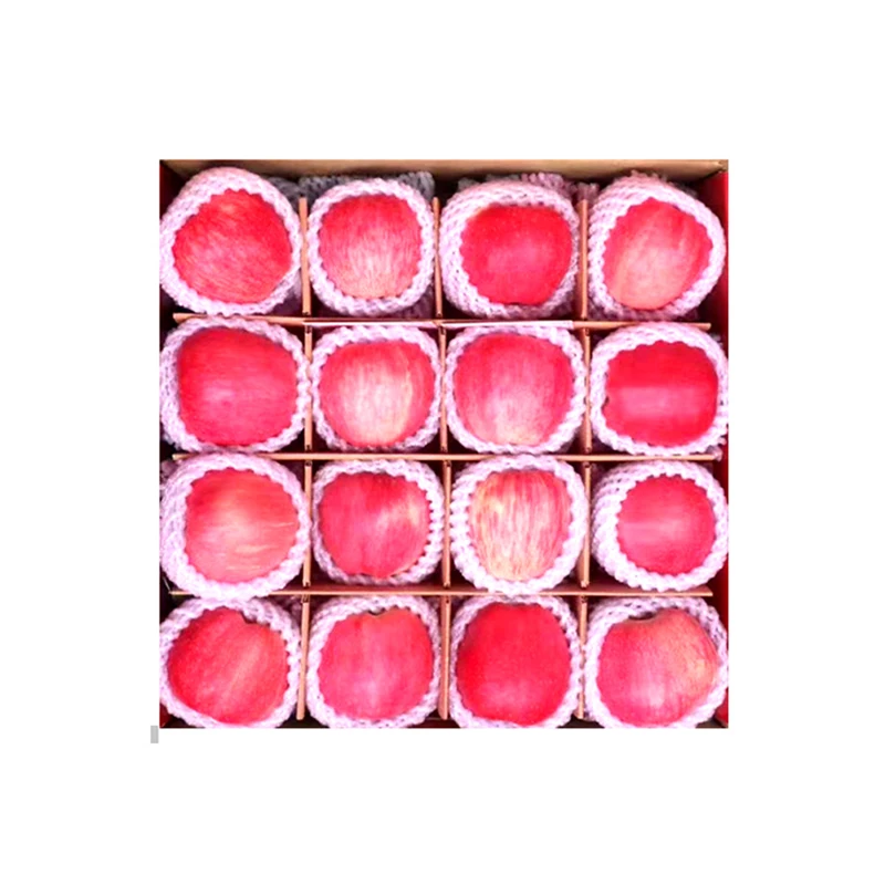 Fresh Sweet Delicious Apples 65mm 85mm Juicy Seasonal Apples With Cheap Price