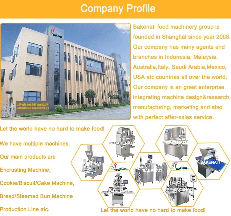 01 Company Profile