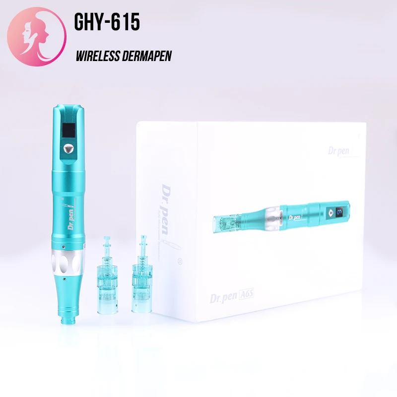 Customization Dermapen A6s with replacement battery Microneedle Therapy System Derma Pen with Display