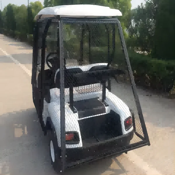 Tong Cai electric golf scooter electric small electric cars for adults Golf Court Customized Electric Caddy Golf Cart