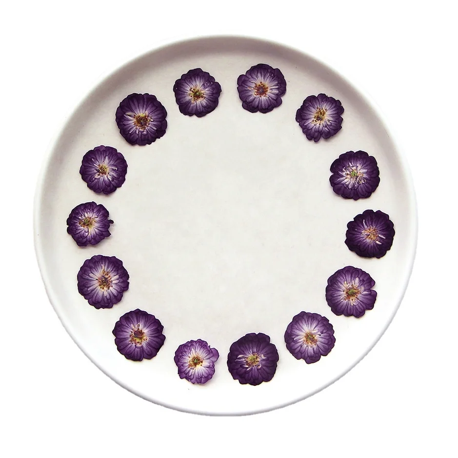 12 шт./упаковка прижатые цветы из натуральной фуксии