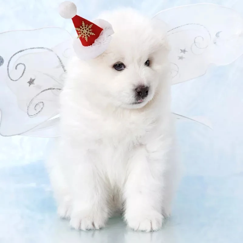 Wholesale Pet Christmas Hairpin Hat Xmas Decorations Red Sequins Small Lace Gauze Skirt Santa Claus Hat Clip Dress Up Headgear