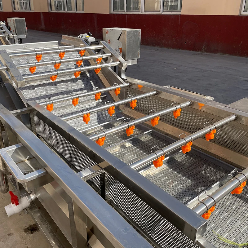 Industrial Air Fruit Bubble Washing Machine Bubble Washer Machine