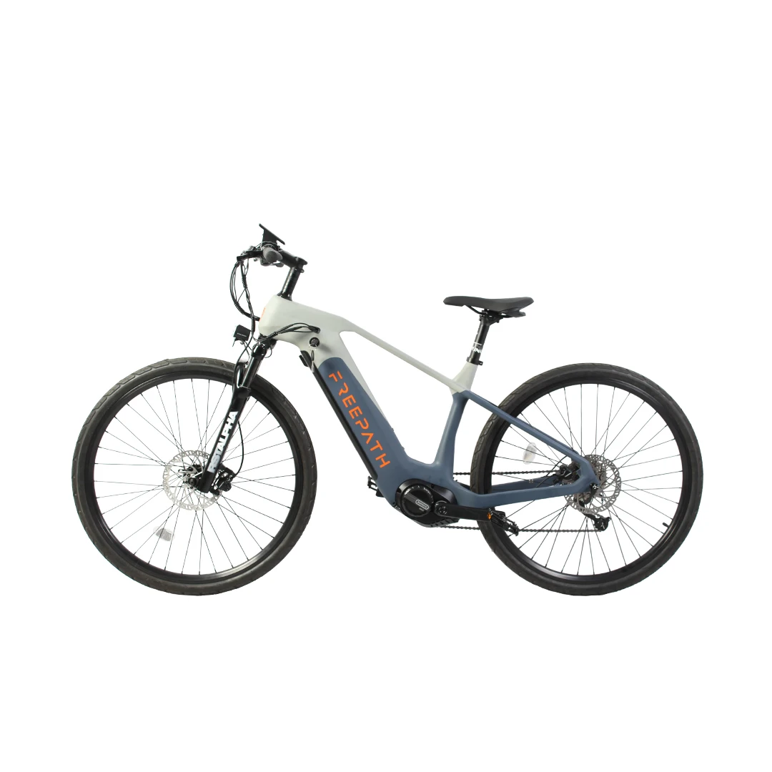 Bafang M600 500w enduro ebike full suspension 29er electric mountain bike carbon ebike with mid motor